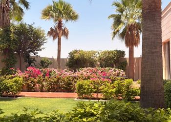 استراحة جلسة بإطلالة على حديقة