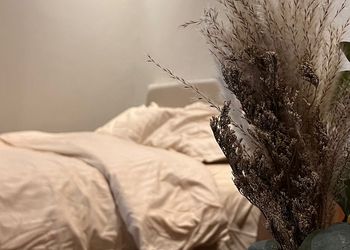 استديو مريح لليلة جميلة ومميزة