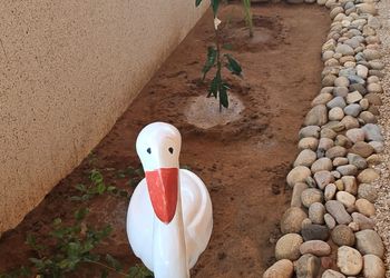 استراحة بمسطح اخضر وصالة انيقه
