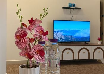 استديو أنيق بدخول ذاتي