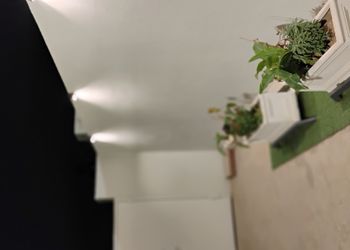شاليه انيق بصاله مطله