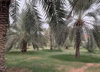 مزرعة بأجواء جميلة ومجالس واسعة