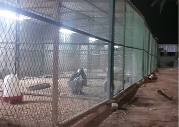 مزرعة بمجالس وبيت شعر 