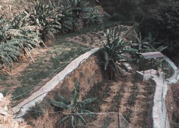 مزرعة بإطلاله جبليه