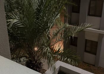 شقة بغرفة معيشة وغرفة نوم 