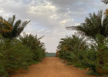 مزرعة بجلسة ارضية والعاب اطفال