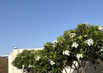 استراحة بجلسة خارجية و مجالس