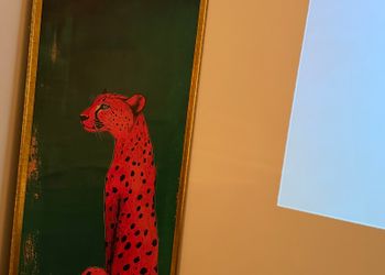 استديو بأثاث مريح وبسيط 