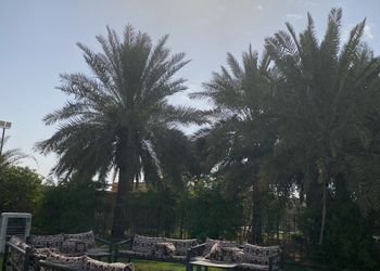 استراحة بمجلس وبيت شعر ومسبح 