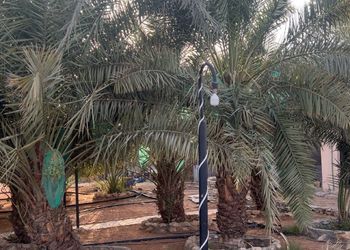 مزرعة ببيت شعر وأجواء ممتعة 