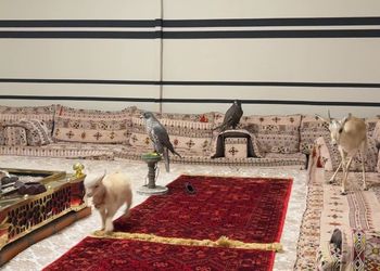 شاليه داخل مزرعة بجلسة خارجية 