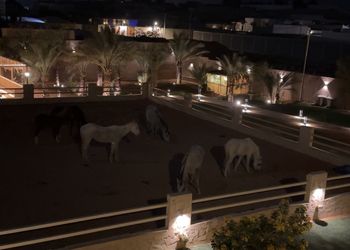 مزرعة بجلسة خارجية واسطبل خيل