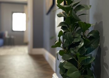 استديو بسرير ماستر وجلسة جانبية 