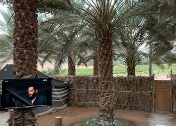 استراحه بمسطحات خضراء وغرف نوم