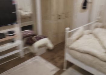 استديو هادئ بسرير فردي