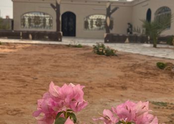 استراحة بخيمة و  مجالس