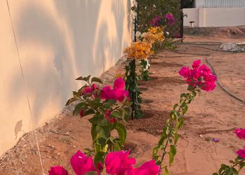 استراحة بخيمة و  مجالس