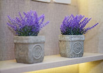 استديو بدخول ذاتي وسرير مريح 