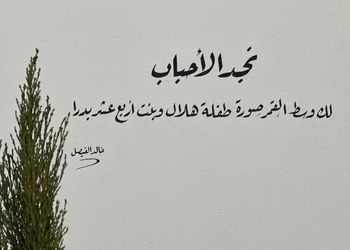 شاليه بمسطح اخضر