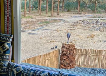 استراحة بمسطحات خضراء 