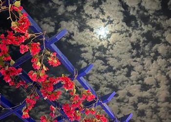 شاليه بجلسة تطل على مسبح خارجي 