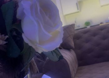 استديو بسرير ماستر وجلسة جانبية