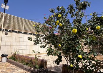 شاليه بجلسة خارجية ومسطح اخضر
