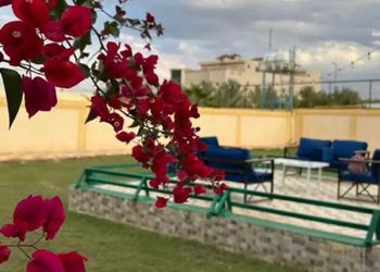 استراحة بمسطح اخضر وجلسه خارجيه