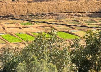 مزرعة بمسطح اخضر وجلسة