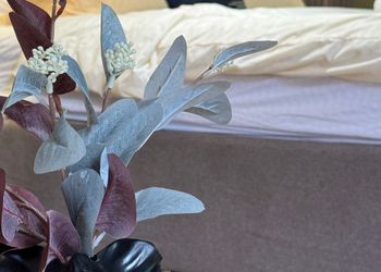 شاليه بجاكوزي مطل على المسبح 