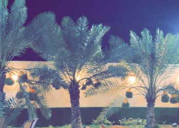 استراحة بمجلس وفناء خارجي 