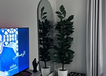استديو بتصميم أنيق ودخول ذاتي