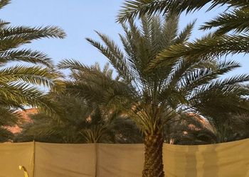 استراحة بمجلس وفناء خارجي 