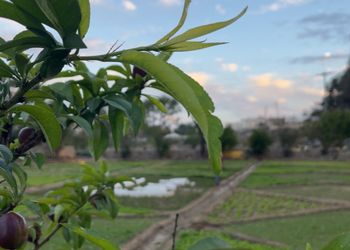 شالية بشكل مميز بأجواء وموقع مميز
