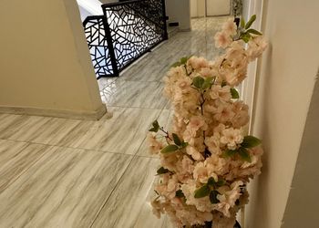 استديو هادئ بدخول ذاتي 