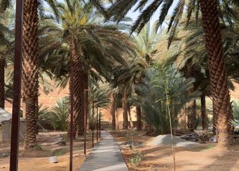 استراحة بمناظر خلابة ومجلس