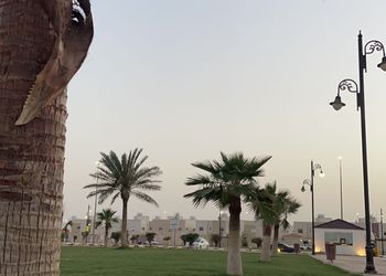استديو بسريرين وجلسة جانبية