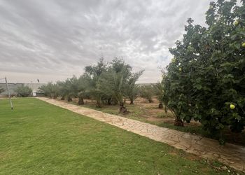 مزرعة بملاعب وإطلالة على النخيل 