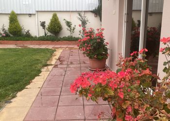 استراحة ومسطح اخضر 