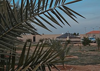 استراحة ببيت شعر ملكي وفناء خارجي