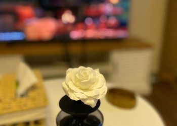 استديو بسرير ماستر وجلسة جانبية