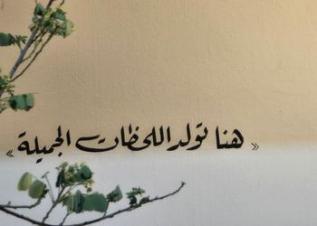 شاليه بمسطح اخضر