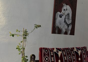 استراحة بمجالس للمناسبات المميزة