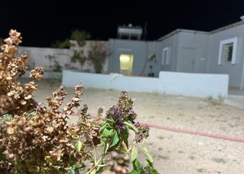 استراحة بفناء خارجي ومجالس