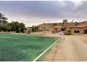 مزرعة بمسطحات خضراء وبيت شعر 