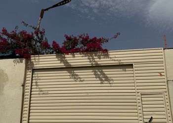 استراحة بمسطح اخضر ومجالس