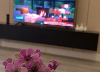 استديو بسرير ماستر
