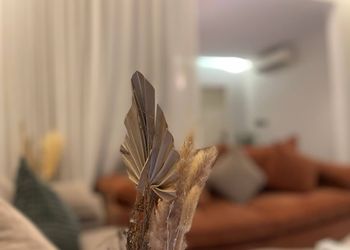 استديو هادئ بسرير ماستر 