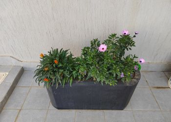 استديو هادئ بسرير ماستر 