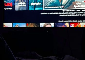 شقة بغرفة نوم وصالة 
